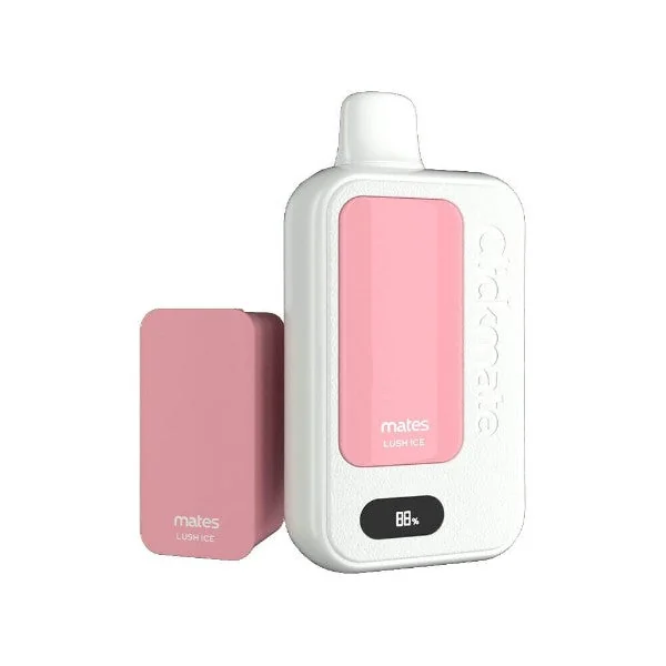 7Daze Clickmate 2% Disposable Starter Kit 15000 Puffs - Image 6