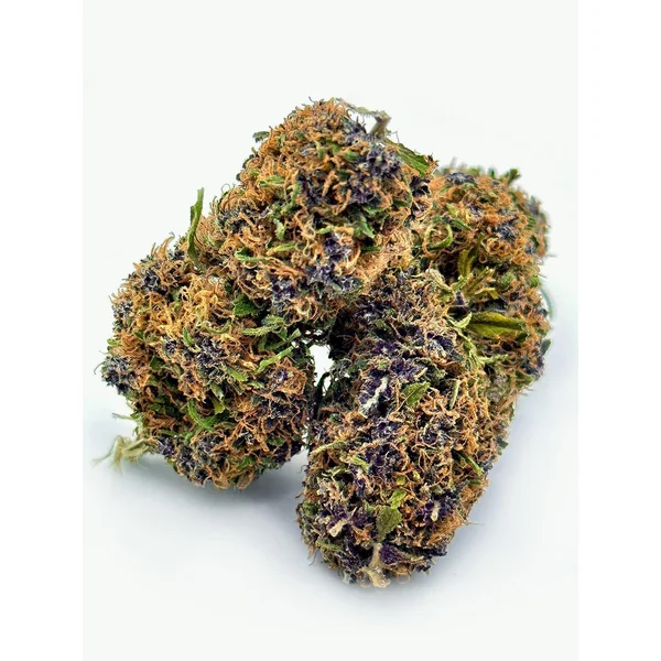 AM Bundle - Image 2