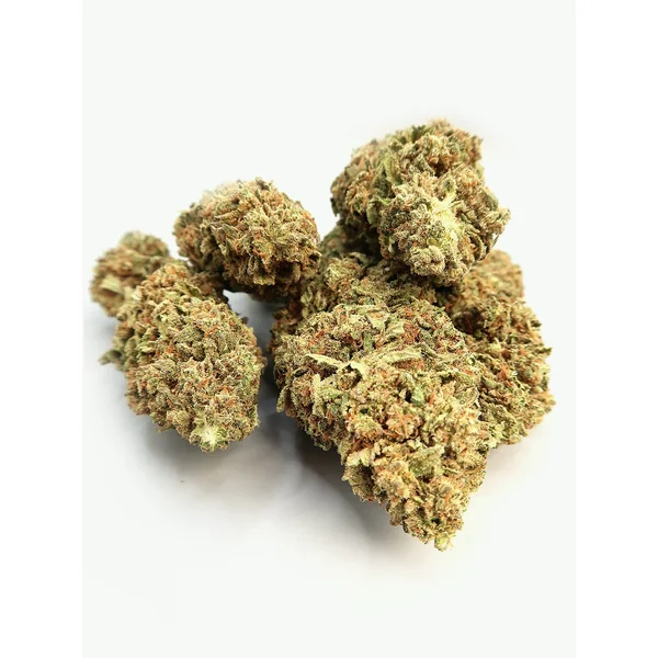 AM Bundle - Image 4