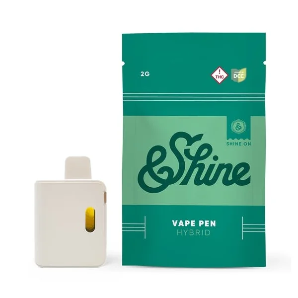B. Berry | Disposable | 2g