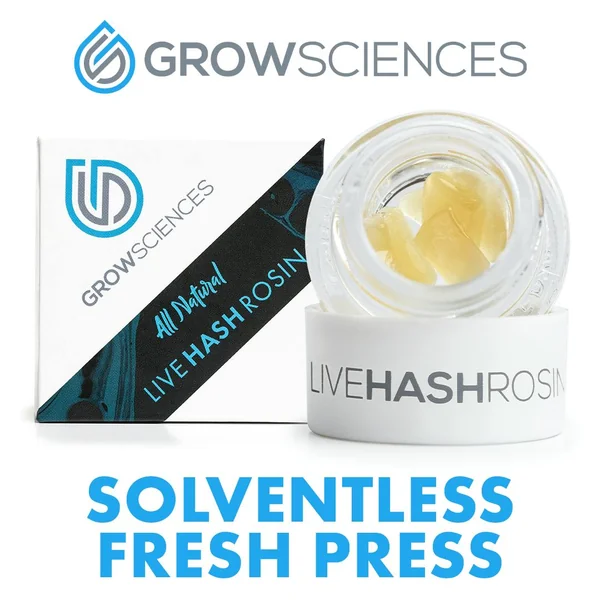 Bananaconda | Live Rosin Fresh Press | 1g
