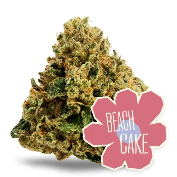 Beach Cake | 28g