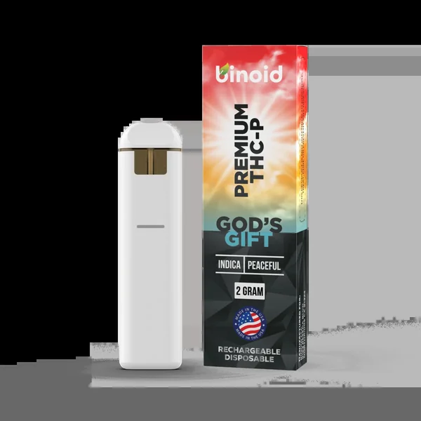 Binoid THCp Rechargeable 2g Disposable Vape - God's Gift