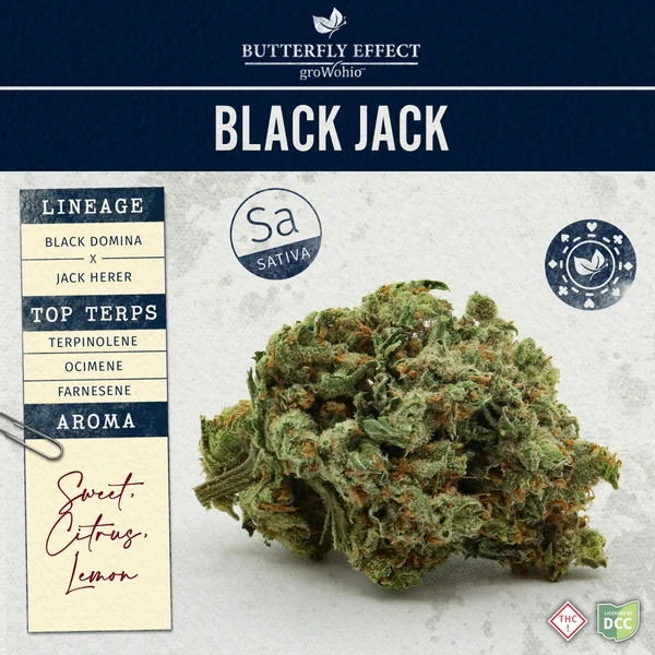 Black Jack | 2.83g