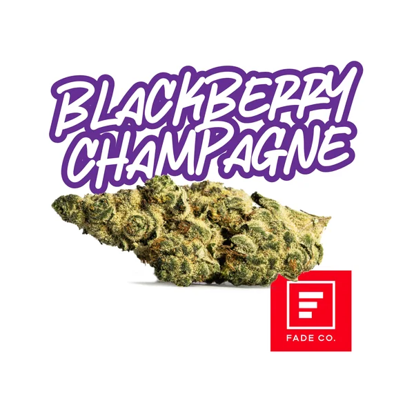 Blackberry Champagne | 3.5g