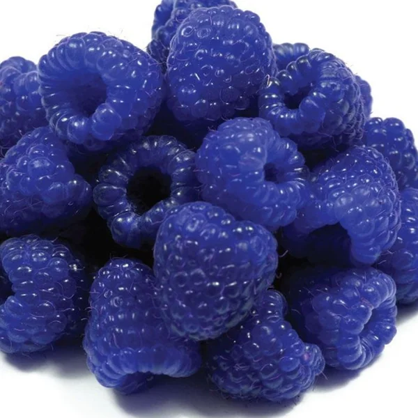 Blue Raspberry Flavor Concentrate