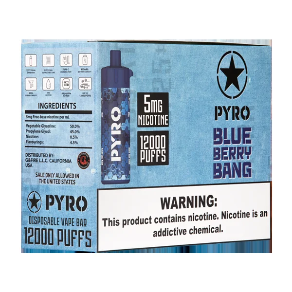 Blueberry Bang PYRO 12000 - Image 2