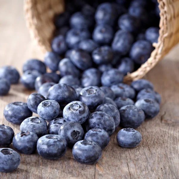 Blueberry Flavor Concentrate
