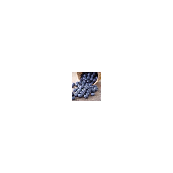 Blueberry Flavor Concentrate - Image 4