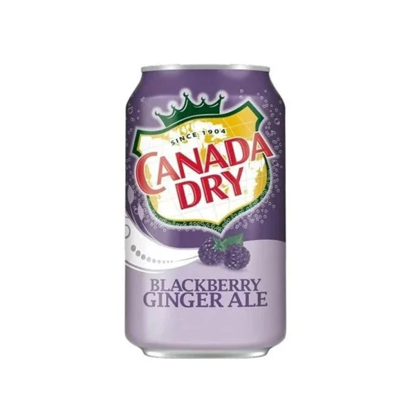 Canada Dry Blackberry Ginger Ale 355ml