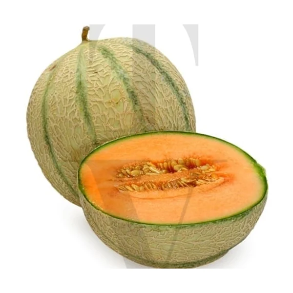 CANTALOUPE