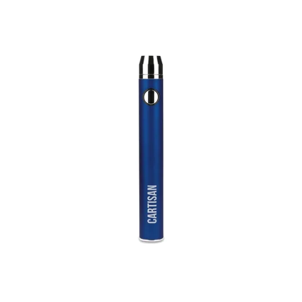 Cartisan- Button VV 900 (USB-C) - Image 2