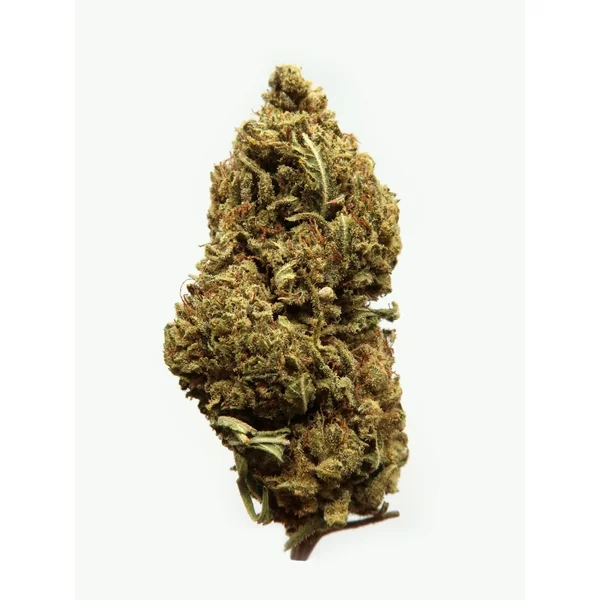 Cheese Monkey Hemp Flowers (8-13% CBD)