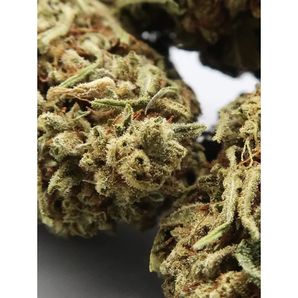 Cheese Monkey Hemp Flowers (8-13% CBD) - Image 3