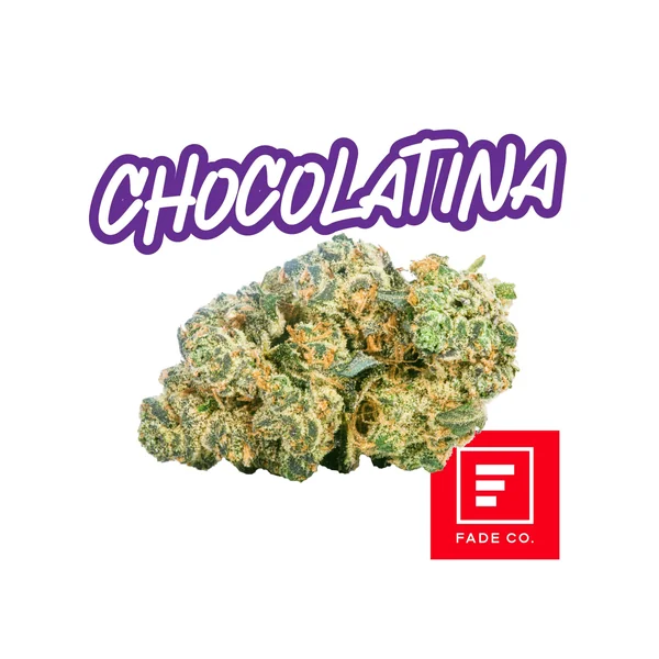 Chocolatina | 7g