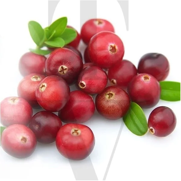 CRANBERRY
