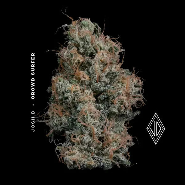 Crowd Surfer | 3.5g