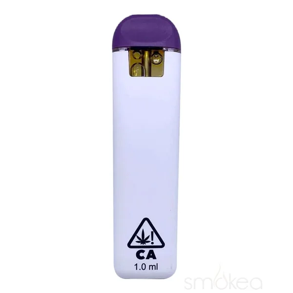 Dank Lite 1g Delta 11 Disposable Vape - Key Lime Pie - Image 2