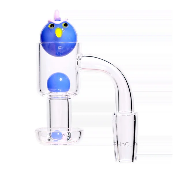 DankStop Angry Bird Terp Slurper Banger Set - 14mm