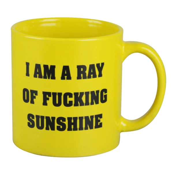 DankStop I am a Ray of Fucking Sunshine Mug