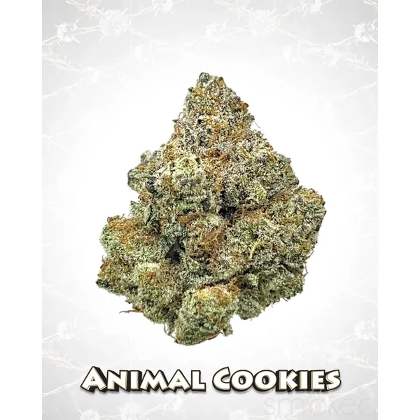 Death Row Records 3.5g THCA Flower - Animal Cookies - Image 2