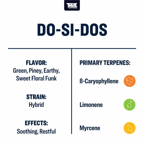 Do-Si-Dos | Terpenes UK | 2ml - Image 2