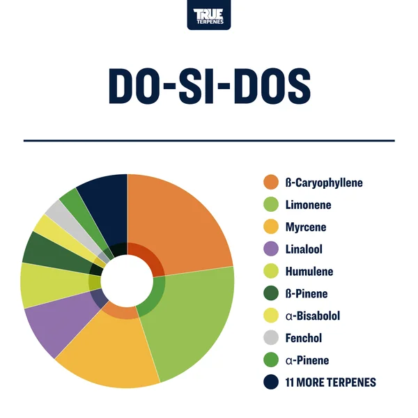 Do-Si-Dos | Terpenes UK | 2ml - Image 3