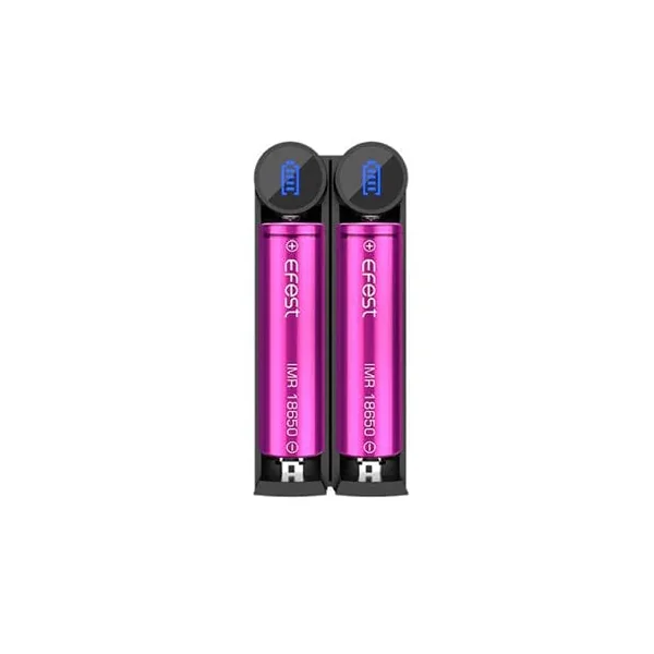 Efest Slim K2 - Two-Slot Battery Charger