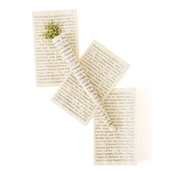 Field Trip Rolling Papers Burn Book Pre-Roll Cones - Image 2