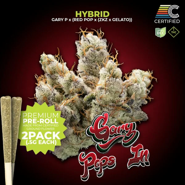 Gary Pops In Pre-Roll | 2 x 0.5g