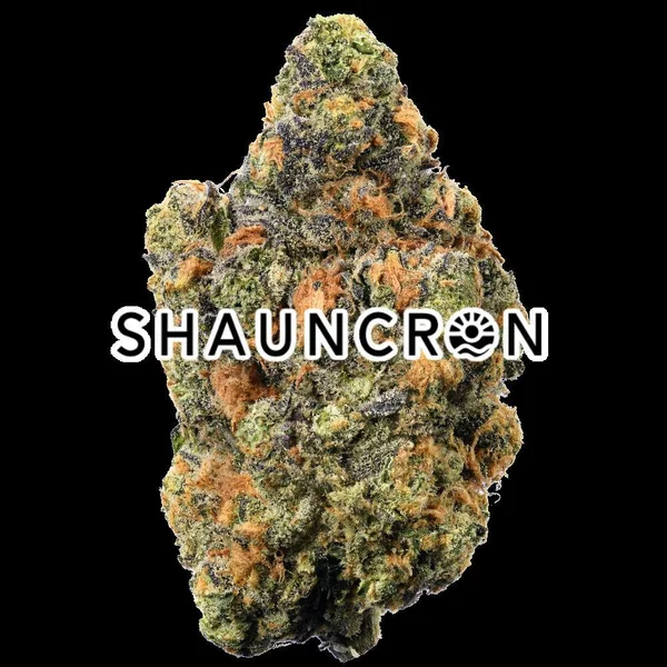 Gravitron | 3.5g