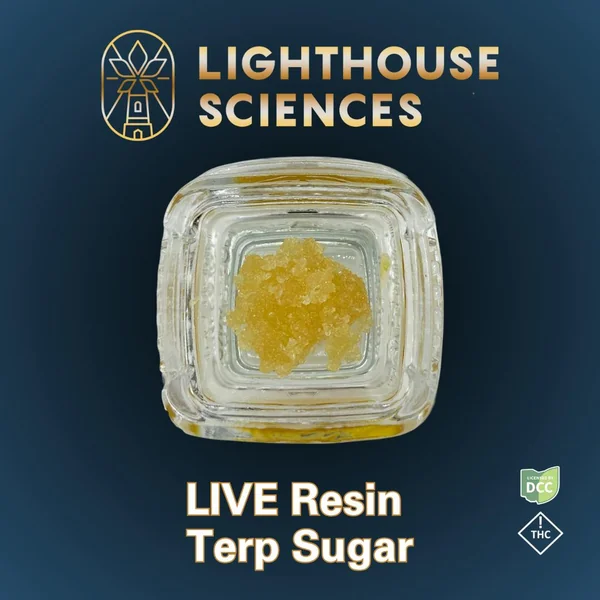 Heavy Pulp | Live Sugar | 1g