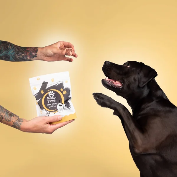 Hemp Paws CBD Dog Treats – Hemp Extract - Image 2