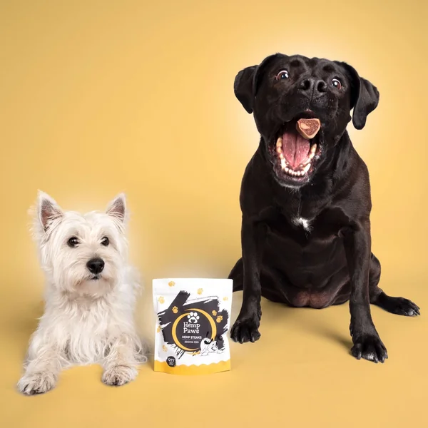 Hemp Paws CBD Dog Treats – Hemp Extract - Image 3