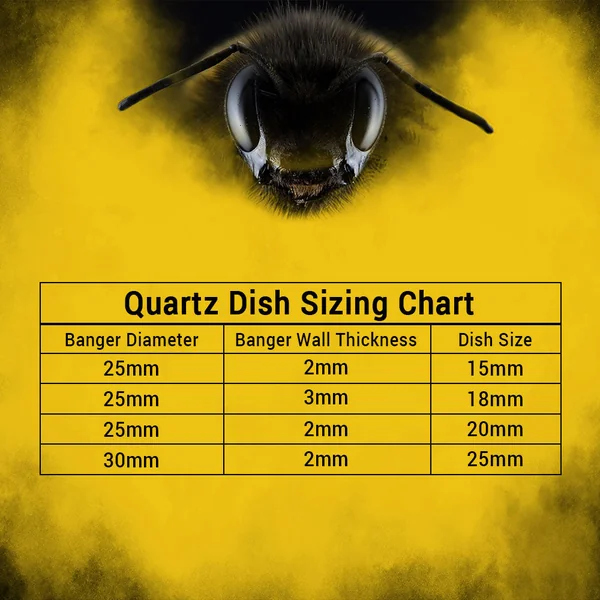 Honeybee Herb Clear Bucket Quartz Banger 90° White Line - Image 6