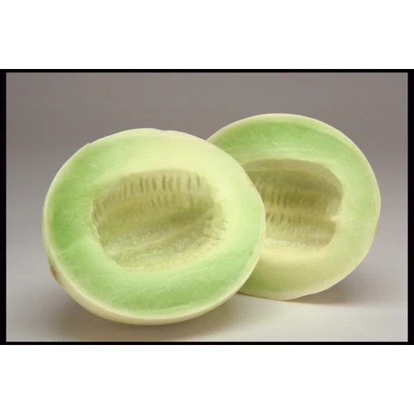 Honeydew