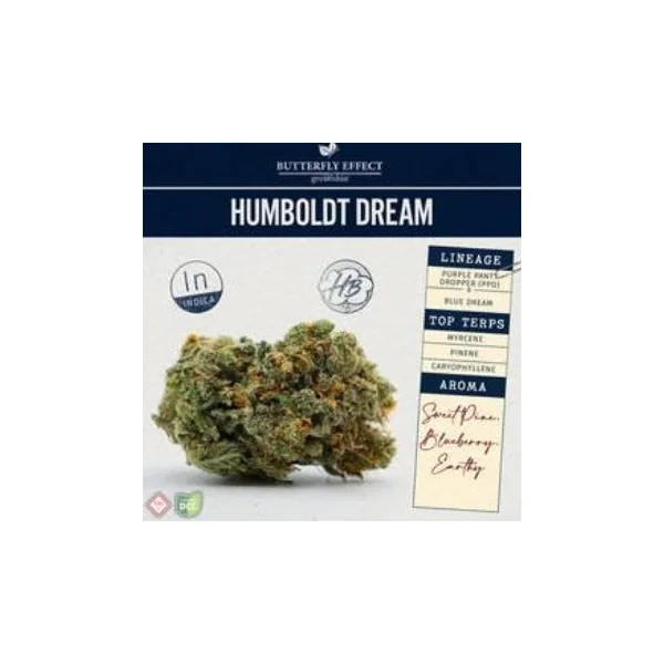 Humboldt Dream | 3.5g
