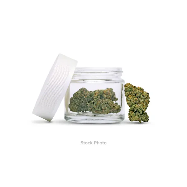 Infused Flower – Blue Muffin