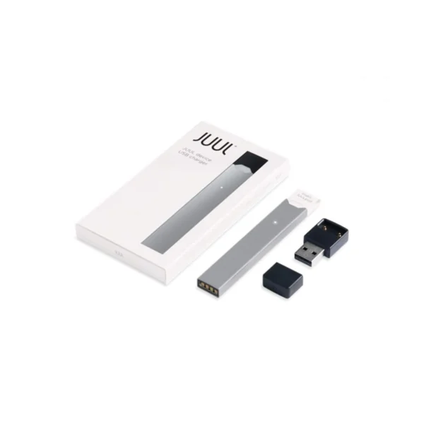 Juul Basic Kit