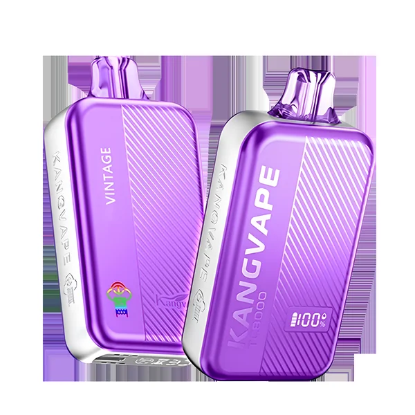 Kangvape Onee Pro TC8000 Disposable Vape - Image 26