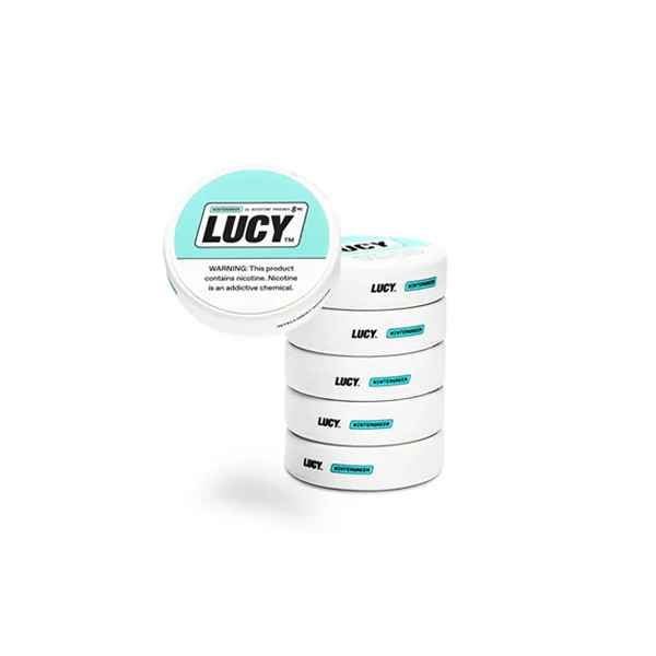 Lucy Pouches | Wintergreen 8MG