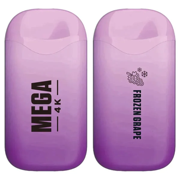 Mega 4K Rechargeable Disposable 5% 4000 Puffs 10pk - Image 13