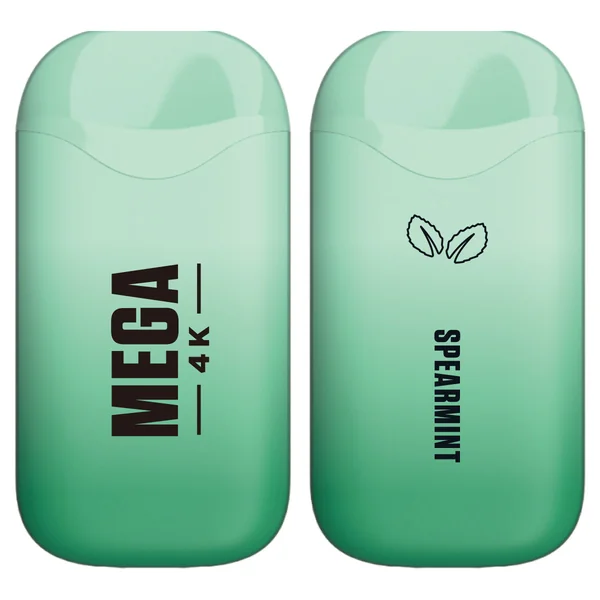 Mega 4K Rechargeable Disposable 5% 4000 Puffs 10pk - Image 19