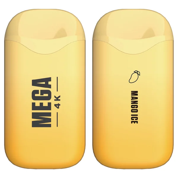Mega 4K Rechargeable Disposable 5% 4000 Puffs 10pk - Image 20