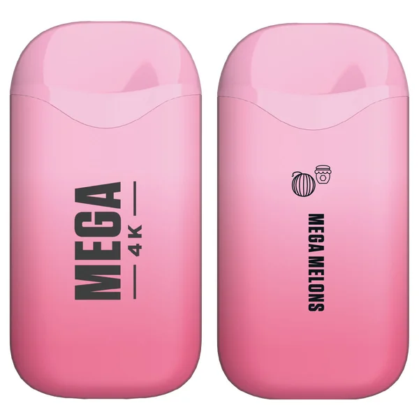 Mega 4K Rechargeable Disposable 5% 4000 Puffs 10pk - Image 21