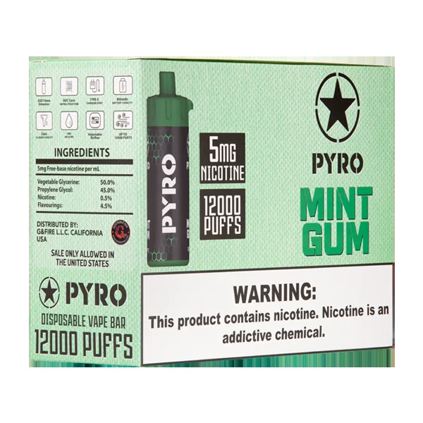 Mint Gum PYRO 12000 - Image 2