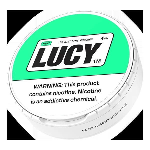 Mint LUCY Pouches