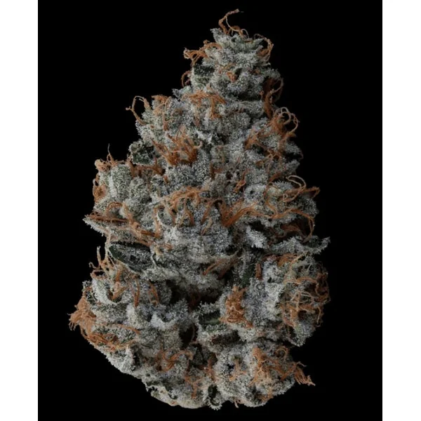 Motorbreath | 14.15g