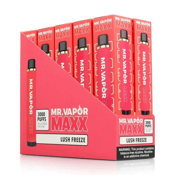 Mr. Vapor Maxx Disposable 3000 Puffs - Full Box - Image 8