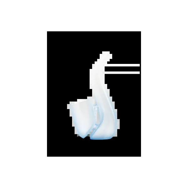 New Proxy V2 Bub - Image 2